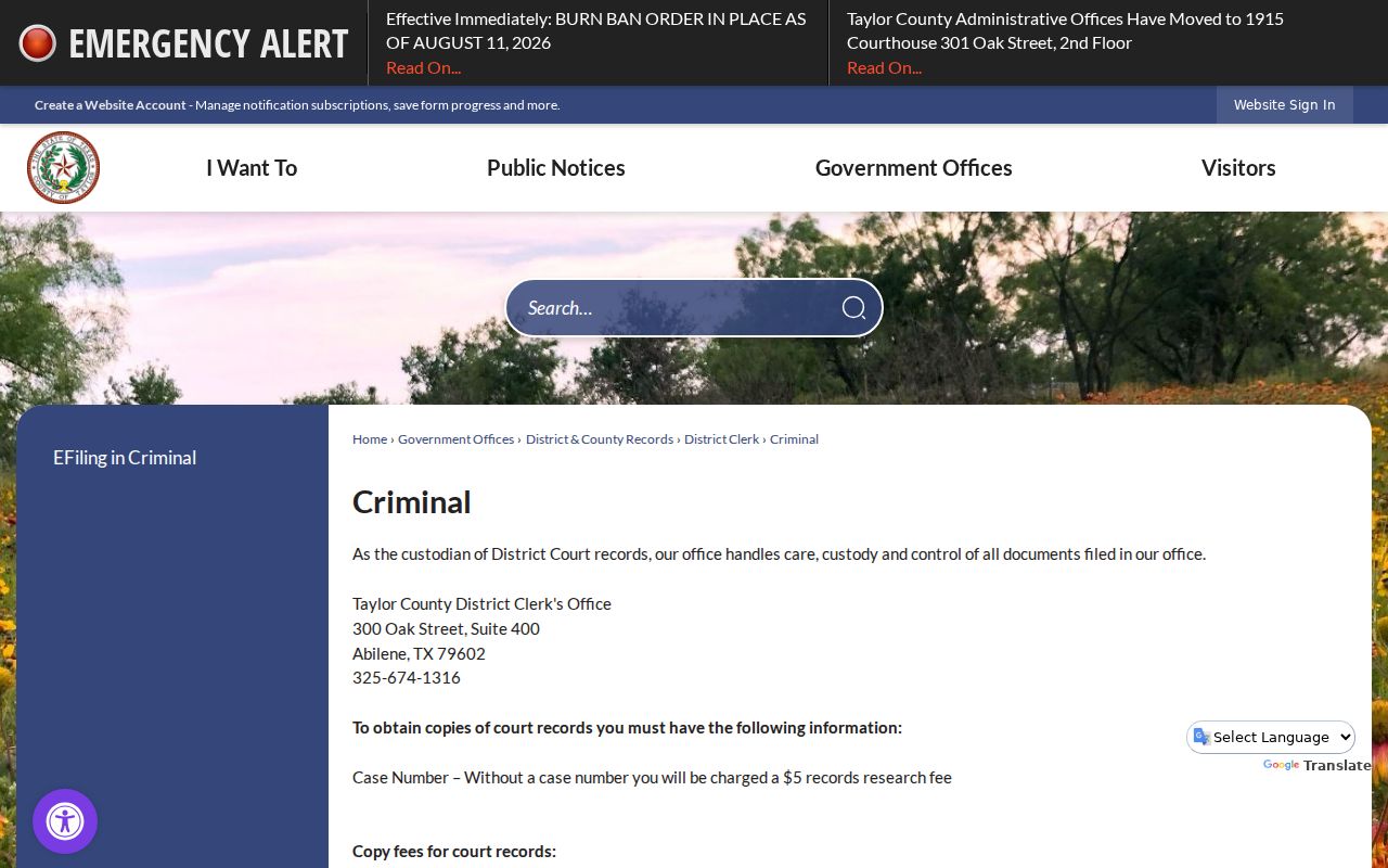 Taylor County criminal court docket felony copy rules